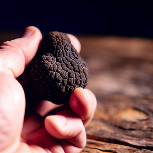 Prix truffe noire au kilo: comparatif, qualité et conseils d&rsquo;experts pour un achat éclairé